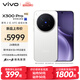 vivo X300 Pro 16GB+512GB 簡(jiǎn)單白 先人一步 蔡司2億APO超級長(cháng)焦 藍圖影像雙芯  AI手機