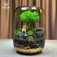 苔蘚微景觀(guān)生態(tài)瓶趣味造景綠植創(chuàng  )意禮物盆栽魚(yú)缸好養活桌面臥室 小貓釣魚(yú)單景觀(guān) 16*16*22（圓）