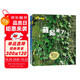 生命的故事 藏起來(lái)了（2冊(cè)）2-3-6歲高清實(shí)拍動(dòng)物自然昆蟲百科全書 幼兒園趣味互動(dòng)書 兒童動(dòng)物世界游戲書 