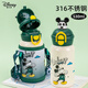 迪士尼（disney）兒童保溫杯水杯學(xué)生上學(xué)專(zhuān)用大容量運動(dòng)水杯男士吸管杯高顏值杯子