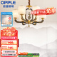 歐普（OPPLE）新中式吊燈輕奢大氣客廳燈簡(jiǎn)約現代中式燈具燈飾套餐主燈餐廳燈 新中式 6頭 臥室吊燈