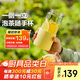 北鼎（Buydeem）教師節禮物茶水分離水杯車(chē)載便攜隨手杯辦公室泡茶杯鵝仔黃470ml
