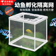 蘭憐魚(yú)缸隔離網(wǎng)盒孔雀魚(yú)苗飼養盒魚(yú)缸內孵化盒小魚(yú)母魚(yú)產(chǎn)房鳳尾熱帶魚(yú) 小號隔離網(wǎng)（無(wú)隔板）