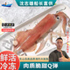 東山島澳角村海鮮海釣大魷魚(yú)白灼刺身品質(zhì)海釣大管年貨年夜飯送禮 【船長(cháng)直供】3-6條 3斤(凈重)
