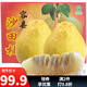 趣覓鮮正宗容縣沙田柚產(chǎn)地直發(fā)廣西特產(chǎn)純甜無(wú)酸老樹(shù)白肉柚子新鮮水果 16斤凈重大果7-9個(gè)禮盒裝