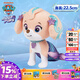 汪汪隊立大功（PAW PATROL）汪汪隊玩具毛絨全套狗狗玩偶公仔男女孩玩具旺旺隊生日禮物 水行毛絨-珊瑚 中號-坐或站高約17~22.9CM
