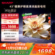 SHARP夏普43英寸 大音腔立體聲  健康護眼 HDR10 全高清金屬全面屏電視2T-C43H3HA 二級能效