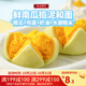 廣州酒家利口福南瓜開(kāi)花饅頭270g 包子兒童營(yíng)養早餐 生鮮方便速食半成品食品生鮮 【松軟】南瓜開(kāi)花饅頭 270g