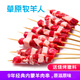 草原牧羊人內蒙精品羔羊肉串200g(約13串)羊腿肉生鮮燒烤食材烤串