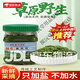 清爵優(yōu)選內蒙古海拉爾特產(chǎn)呼倫貝爾草原野生韭菜花醬火鍋手把肉羊 1瓶