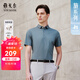 雅戈爾（YOUNGOR）短袖POLO衫男翻領(lǐng)扁機領(lǐng)長(cháng)絨棉棉彈POLO衫新品 VSPC533060QCA藍色 L