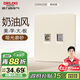 德力西（DELIXI）開(kāi)關(guān)插座806免噴涂啞光磨砂大板電視電腦銀桂黃