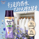 金紡【洗衣搭檔】洗衣留香珠薰衣草+香紫蘇200g情緒香氛精油120天留香