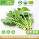 有機匯有機菠菜 綠葉青菜火鍋菜有機蔬菜  有機認證農場(chǎng)種植 新鮮無(wú)農殘 500g