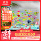 百綸木千天使魚(yú)觀(guān)賞魚(yú)耐活魚(yú)不打氧小型魚(yú)淡水魚(yú)缸熱帶魚(yú)寵物活魚(yú) 【運輸包損】天使+斑馬+孔雀 混搭共20條