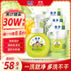 獅王（Lion）趣凈泡沫抑菌泡沫洗手液綠野青芒香250ml*200ml*3綿密泡沫溫和