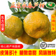鑫果滋【順豐】福建永春蘆柑 福建特產(chǎn)甜蘆柑椪碰柑新鮮水果送禮柑桔橘 凈9斤 特大果 約80mm 【順豐】