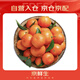 京鮮生 金秋砂糖橘/砂糖桔 2斤 生鮮水果 