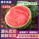 薏品甄鮮現摘現發(fā)麒麟西瓜脆甜多汁正宗冰糖無(wú)籽麒麟西瓜新鮮水果 無(wú)籽麒麟5斤-6斤