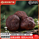 彝蓓朵云南新鮮黑松露 空運冷鏈牛排刺身食材 野生菌高黎貢山可泡酒禮盒 【全成熟】4-5cm新鮮黑松露可刺身用 500g 家庭實(shí)惠裝-刺身調料
