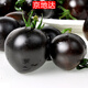 京地達山東新鮮黑番茄 凈重3斤 單果5g+低糖酸甜口小柿子源頭直發(fā)包郵