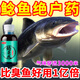 鯰魚(yú)專(zhuān)用釣魚(yú)小藥胡子魚(yú)大口鯰埃及土鯰克星釣魚(yú)誘食劑小藥釣餌開(kāi) 1瓶-專(zhuān)攻大鯰魚(yú)