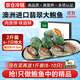 澳洲進(jìn)口翡翠大鮑魚(yú)鮮活冷凍生海鮮貝類(lèi)刺身火鍋食材佛跳墻送禮盒 1kg 6-7只【買(mǎi)就送1斤-限量活動(dòng)中】