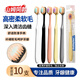 BRUSHING BEAR山姆牙刷軟毛寬薄護齦家用家庭裝學(xué)生情侶男女士專(zhuān)用10支獨立包裝