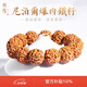 龍隱 六瓣爆滿(mǎn)肉金剛菩提子手串佛珠文玩尼泊爾藏式手鏈送男女友禮物 五瓣滿(mǎn)肉雙龍紋【深度清理】 18-19mm
