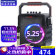 TEMEISHENG特美聲SL05-26廣場(chǎng)舞音響便攜式戶(hù)外音響k歌專(zhuān)用戶(hù)外音響大功率手提藍牙音箱戶(hù)外音響小迷你音箱  SL26(5.5吋大功率)單美聲話(huà)筒