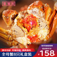 【活蟹】中秋送禮五河沱湖螃蟹大閘蟹現貨鮮活 全母蟹禮盒3.5兩  8只裝