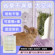 牛寵寵物固定食盆兔子草架自動(dòng)喂食器懸掛式二合一兩用豚鼠龍貓喂食槽 彈簧草架-白色 食盆草架