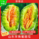 京地達山東羊角蜜甜瓜凈重4.5斤精選頭茬260g+ 春季嘗鮮 源頭直發(fā)包郵