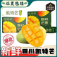 閩域?qū)r四川凱特芒【老樹果采摘】新鮮水果現(xiàn)摘現(xiàn)發(fā)大芒果芒果凱特芒水果 凈重4.5斤【單果300-400g】嘗鮮裝 精選高山老樹陽面果-更加香甜