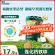 英氏（Engnice）嬰幼兒水果派對餅干蜜瓜獼猴桃味 寶寶嬰兒零食輔食餅干85g