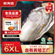 鮮海道【品質(zhì)】鮮海道生態(tài)生蠔  乳山牡蠣 活鮮海蠣子生鮮貝類(lèi) 品質(zhì)升級6XL-凈重9斤