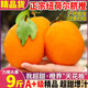 花音谷云南青秋紐荷爾臍橙新鮮水果橙子 特級果當季水果現摘現發(fā)橙子 2斤【凈重1.5斤】 單果120g+
