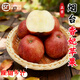 【順豐】正宗煙臺愛(ài)香妃蘋(píng)果國產(chǎn)愛(ài)香妃蘋(píng)果新鮮水果脆甜產(chǎn)地直發(fā) 5斤 超大果90-95mm【店長(cháng)推薦】