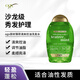 OGX歐古絲膠原蛋白摩洛哥堅果油天然植萃維B去屑止癢控油洗發(fā)護發(fā) 茶樹(shù)薄荷清爽控油洗發(fā)水385ml