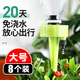 芷郁 自動(dòng)澆花器8只裝滴水器滲水器自動(dòng)澆花器可調節滴灌懶人澆水神器