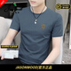 JASONWOOD高端品牌男裝短袖t恤男士夏季冰絲莫代爾圓領(lǐng)休閑速干體恤上衣服 高檔霧霾藍【現貨速達】 2XL 【建議150-165斤左右】