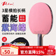 拍里奧（Palio）乒乓球拍三星4星初學(xué)訓練高彈反膠球拍兒童學(xué)生球拍 三星/橫拍一支/雙面紫海綿/禮包