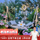 紫葉（ziye）戶(hù)外秋千床網(wǎng)紅民宿室外雙人吊床成人搖搖床蕩秋千花園庭院秋千椅 湖藍色秋千【配坐墊靠枕】
