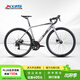 喜德盛（xds）公路自行車(chē)RT280超輕鋁合金車(chē)架禧瑪諾變速14速線(xiàn)拉油壓碟剎 太空灰/黑 700C*480（建議身高165-175cm）