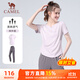 駱駝（CAMEL）戶外晨跑運(yùn)動服女休閑短袖兩件套裝 Y23BA0L6059C5 雪柔紫 XL