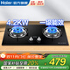 海爾（Haier）燃氣灶天然氣液化煤氣家用灶具大火力鋼化玻璃面板熄火保護圓灶雙眼臺嵌兩用嵌入式小尺寸燃氣灶 【4.2KW-天然氣】日常家用