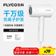 飛科（FLYCO）負離子電吹風(fēng)機家用便攜出游速干冷熱風(fēng)大功率吹風(fēng)筒FH6276