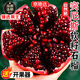 京地達四川突尼斯軟籽石榴 9斤臻稀果王單果400g+ 會(huì )理現摘新鮮水果包郵