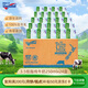 紐仕蘭草飼3.5g蛋白高鈣低脂純牛奶100%生牛乳250ml*24盒新西蘭原裝進(jìn)口