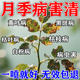 月季花病蟲(chóng)害專(zhuān)用i藥黑斑病黃葉掉葉枯葉灰霉白粉玫瑰薔薇紅蜘蛛 【月季花病蟲(chóng)害】 300ml 1瓶